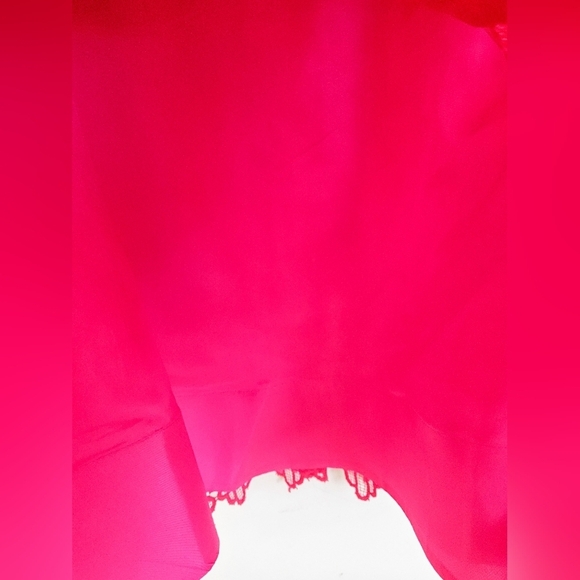 Monique Lhuillier Red Lace Sleeveless A Line Dress - Picture 11 of 16